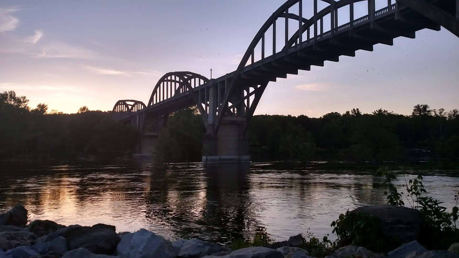 Cotter, AR 010