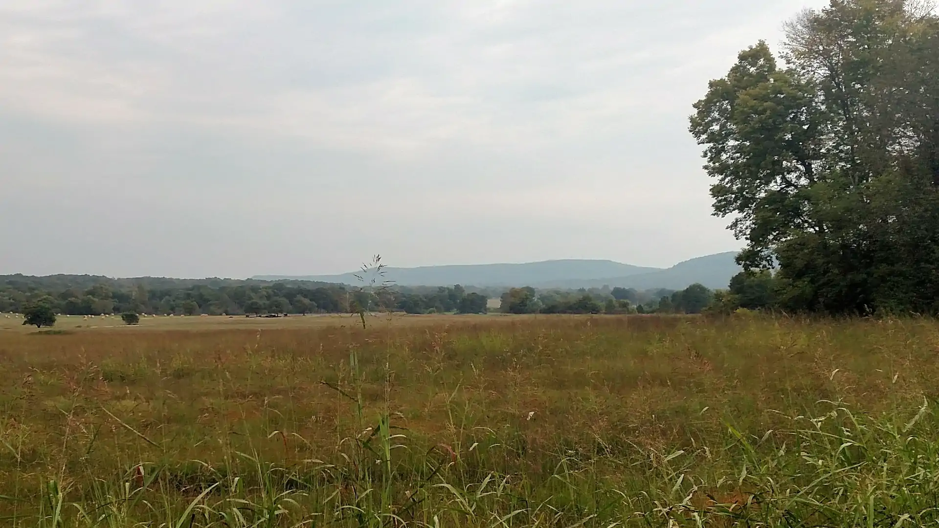 Prairie Grove Battlefield State Park 006